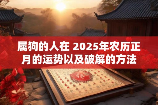 属狗的人在 2025年农历正月的运势以及破解的方法