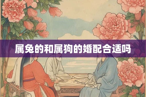 属兔的和属狗的婚配合适吗