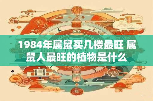 1984年属鼠买几楼最旺 属鼠人最旺的植物是什么