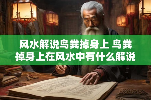 风水解说鸟粪掉身上 鸟粪掉身上在风水中有什么解说