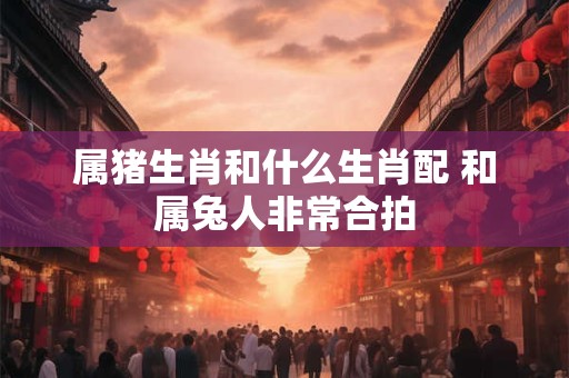 属猪生肖和什么生肖配 和属兔人非常合拍