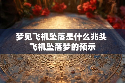 梦见飞机坠落是什么兆头 飞机坠落梦的预示