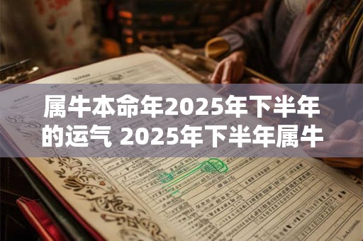 属牛本命年2025年下半年的运气 2025年下半年属牛的运势如何