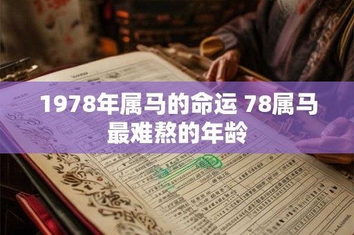 1978年属马的命运 78属马最难熬的年龄