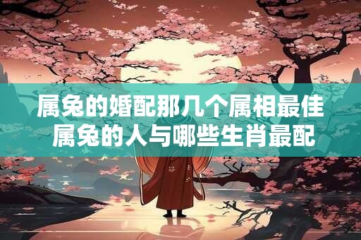 属兔的婚配那几个属相最佳 属兔的人与哪些生肖最配
