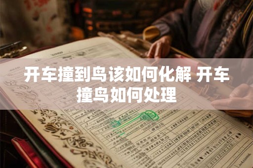 开车撞到鸟该如何化解 开车撞鸟如何处理