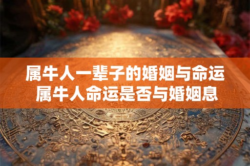 属牛人一辈子的婚姻与命运 属牛人命运是否与婚姻息息相关