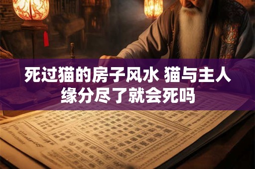 死过猫的房子风水 猫与主人缘分尽了就会死吗