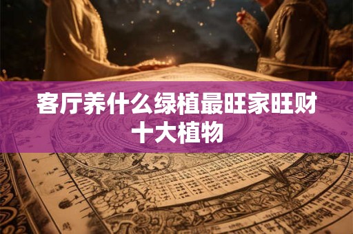 客厅养什么绿植最旺家旺财十大植物