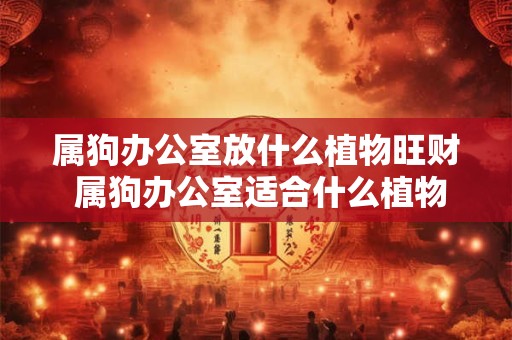 属狗办公室放什么植物旺财 属狗办公室适合什么植物旺财