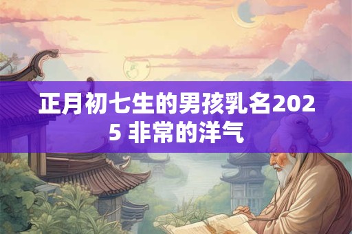 正月初七生的男孩乳名2025 非常的洋气