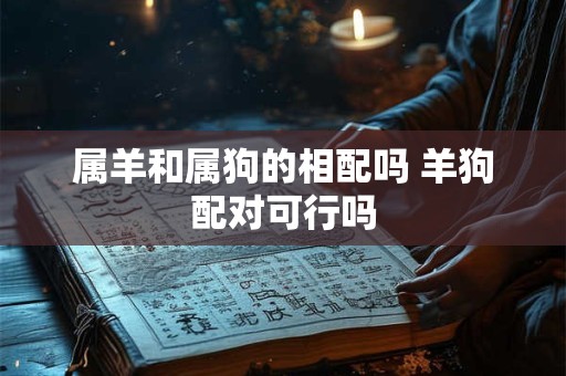 属羊和属狗的相配吗 羊狗配对可行吗