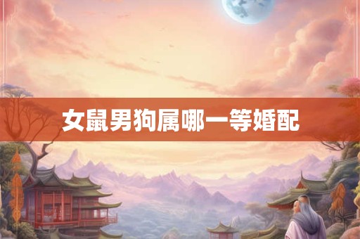 女鼠男狗属哪一等婚配