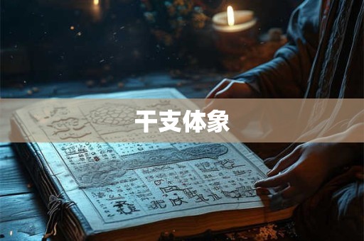 干支体象