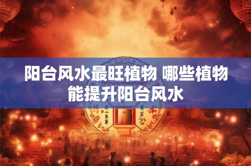 阳台风水最旺植物 哪些植物能提升阳台风水 阳台风水最旺植物 哪些植物能提升阳台风水
