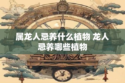 属龙人忌养什么植物 龙人忌养哪些植物 属龙人忌养什么植物 龙人忌养哪些植物