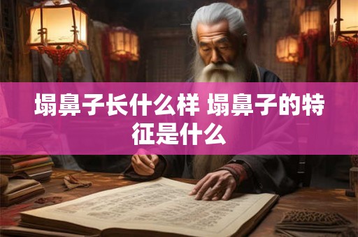 塌鼻子长什么样 塌鼻子的特征是什么 塌鼻子长什么样 塌鼻子的特征是什么