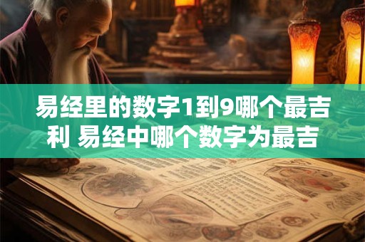 易经里的数字1到9哪个最吉利 易经中哪个数字为最吉利