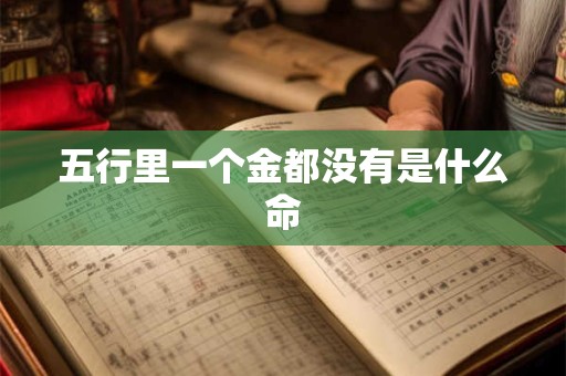 五行里一个金都没有是什么命