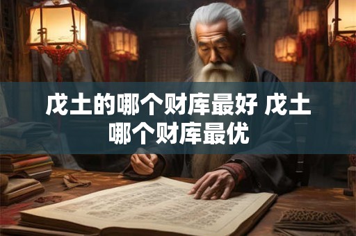 戊土的哪个财库最好 戊土哪个财库最优