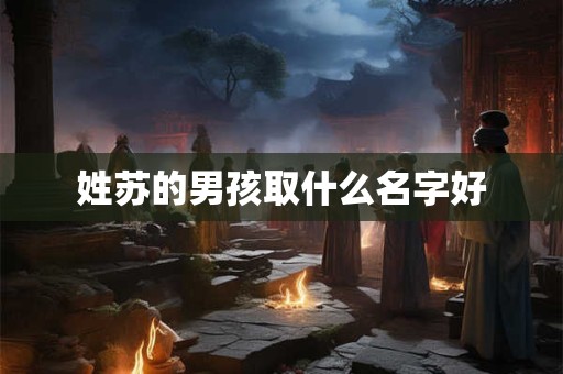 姓苏的男孩取什么名字好