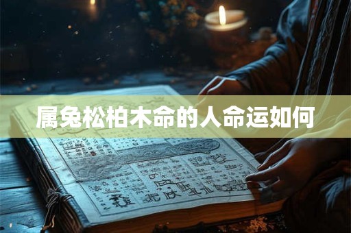 属兔松柏木命的人命运如何