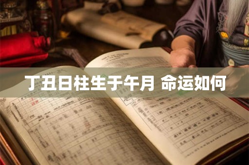 丁丑日柱生于午月 命运如何