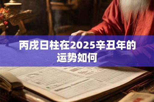丙戌日柱在2025辛丑年的运势如何