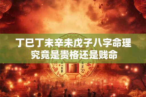丁巳丁未辛未戊子八字命理 究竟是贵格还是贱命