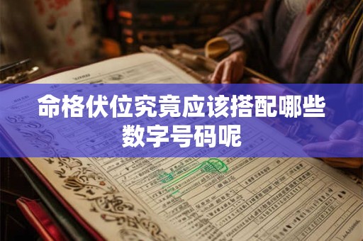 命格伏位究竟应该搭配哪些数字号码呢 命格伏位究竟应该搭配哪些数字号码呢