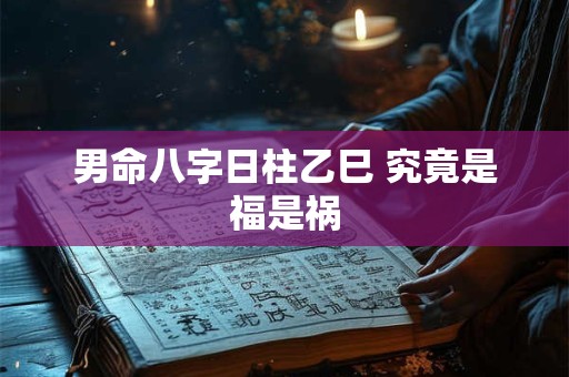男命八字日柱乙巳 究竟是福是祸