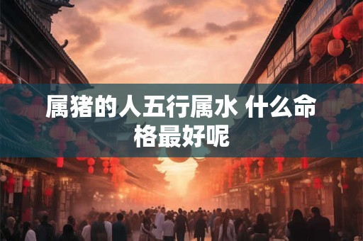 属猪的人五行属水 什么命格最好呢