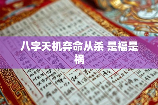 八字天机弃命从杀 是福是祸