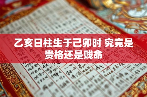 乙亥日柱生于己卯时 究竟是贵格还是贱命