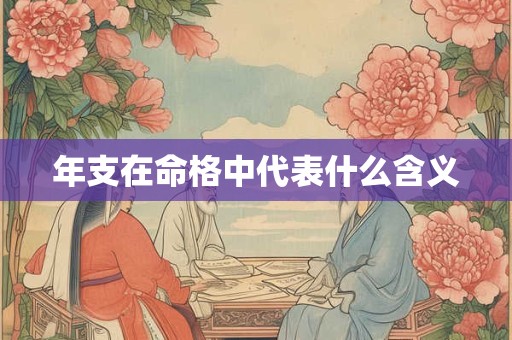 年支在命格中代表什么含义