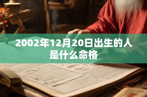 2002年12月20日出生的人是什么命格 2002年12月20日出生的人是什么命格