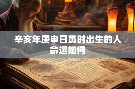 辛亥年庚申日寅时出生的人命运如何