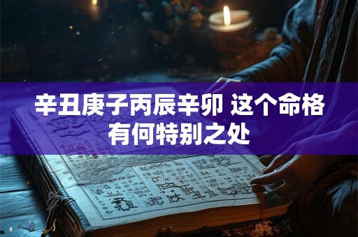 辛丑庚子丙辰辛卯 这个命格有何特别之处