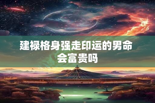 建禄格身强走印运的男命 会富贵吗