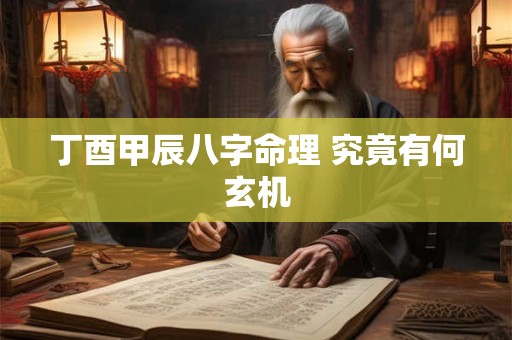 丁酉甲辰八字命理 究竟有何玄机