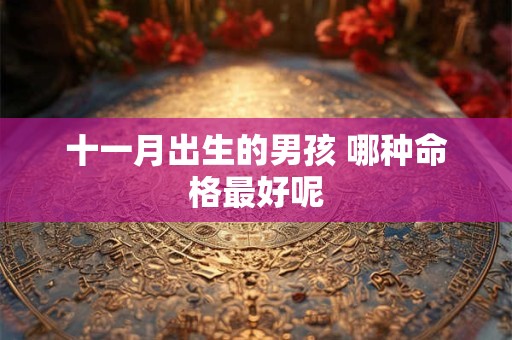 十一月出生的男孩 哪种命格最好呢