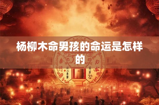 杨柳木命男孩的命运是怎样的