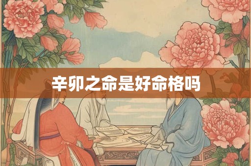 辛卯之命是好命格吗