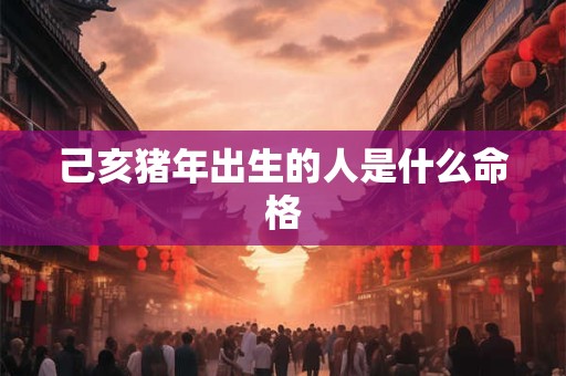 己亥猪年出生的人是什么命格