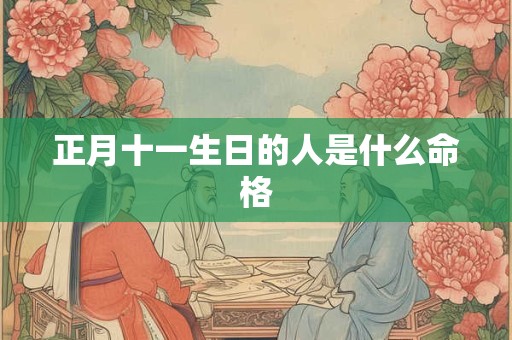 正月十一生日的人是什么命格