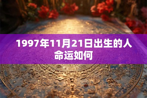 1997年11月21日出生的人命运如何