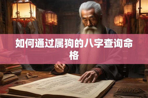 如何通过属狗的八字查询命格