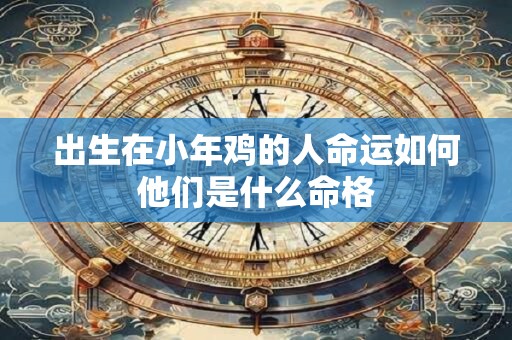 出生在小年鸡的人命运如何他们是什么命格