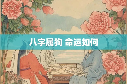 八字属狗 命运如何