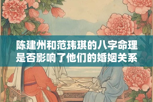 陈建州和范玮琪的八字命理是否影响了他们的婚姻关系